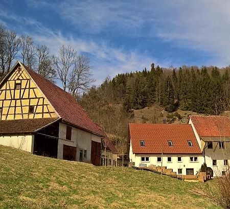 Muehlenchalet Villa Gundershofen ภายนอก รูปภาพ